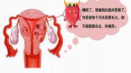 黑龙江女性不孕的治疗费用高吗,冻卵黑龙江有做吗？