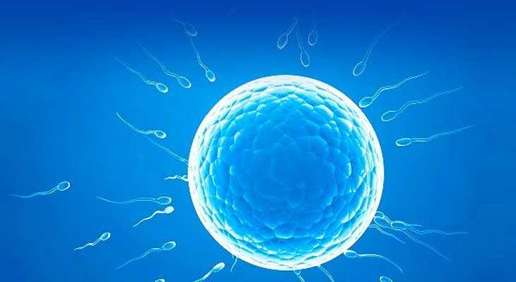 南澳县添一招代妈_南澳县好孕来代妈微信群_试管婴儿胚胎7细胞的质量怎样
