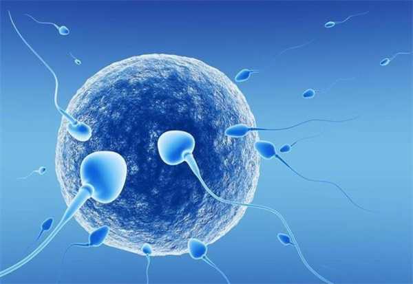 哈尔滨有代孕的人吗 影响哈尔滨第一医院试管成功率的因素? ‘看胎囊分辨男女