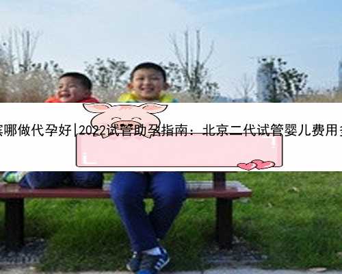 哈尔滨哪做代孕好|2022试管助孕指南：北京二代试管婴儿费用多少？