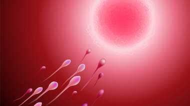 哈尔滨试管代孕的优点_玉溪双侧输卵管切除还能做试管吗，输卵管切除对试管